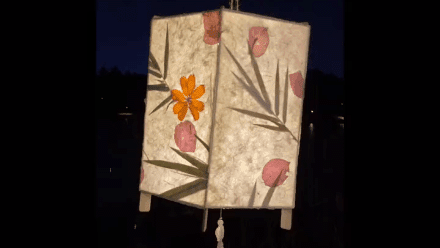 1.gif